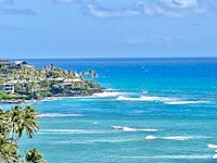 a view of a beach with palm trees and a view of the ocean